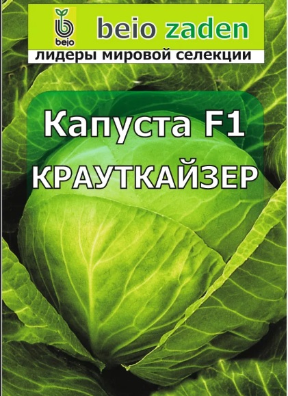 Капуста белокочанная Крауткайзер bejo Капуста белокочанная Крауткайзер bejo