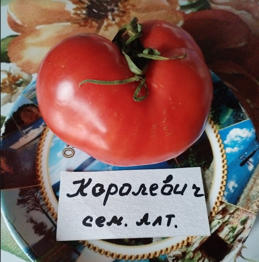 Томат Королевич Томат Королевич