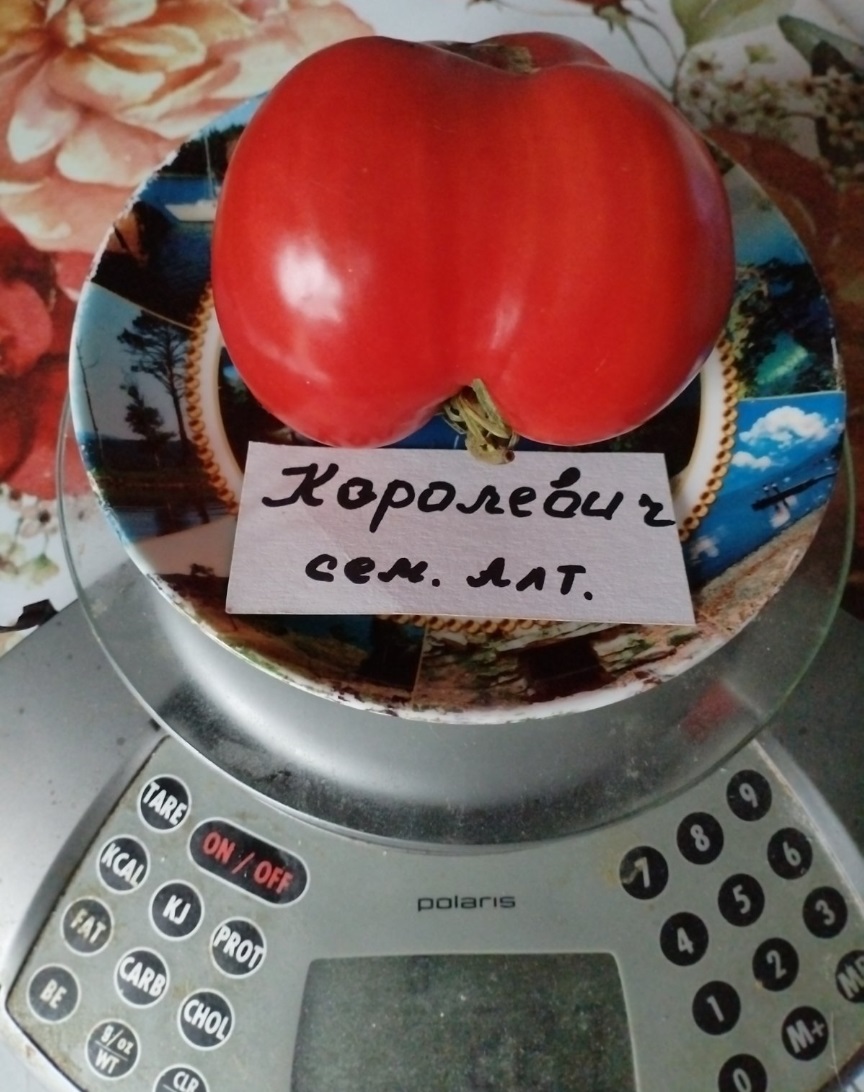 Томат Королевич Томат Королевич
