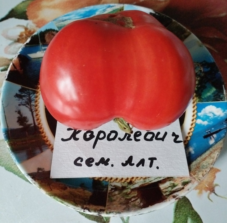 Томат Королевич Томат Королевич