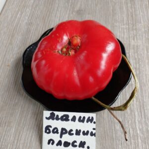 Томат Малиновый Барский плоский