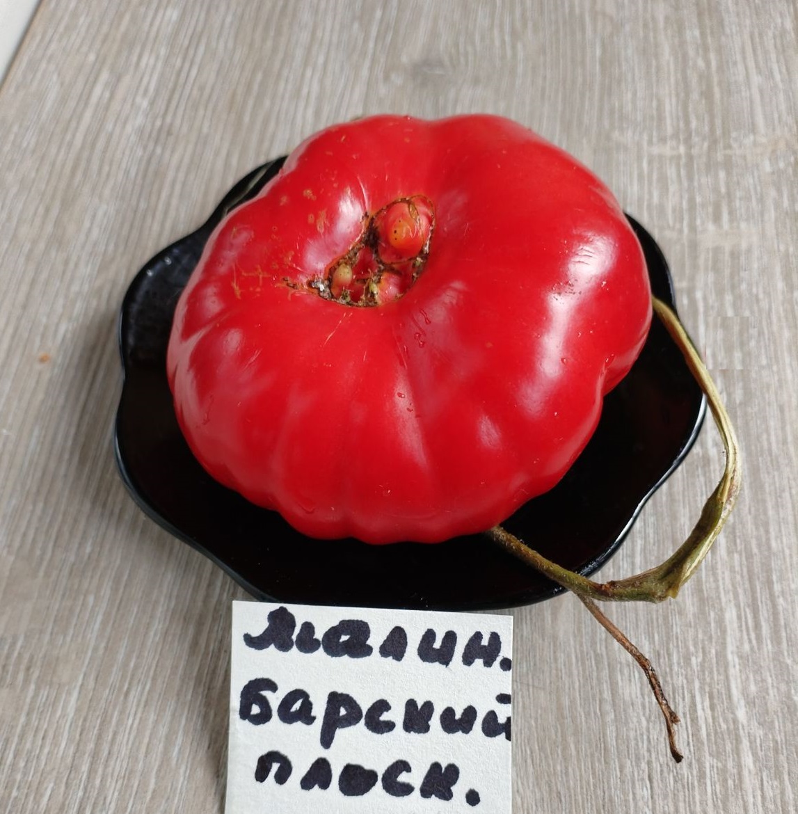 Томат Малиновый Барский плоский Томат Малиновый Барский плоский