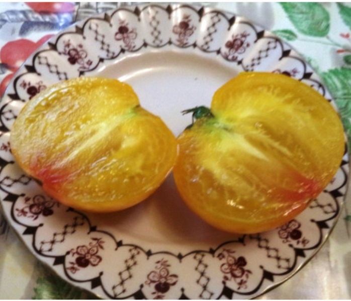 томат Курский жёлтый томат Курский жёлтый