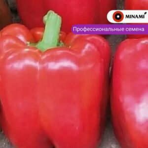перец Тебека