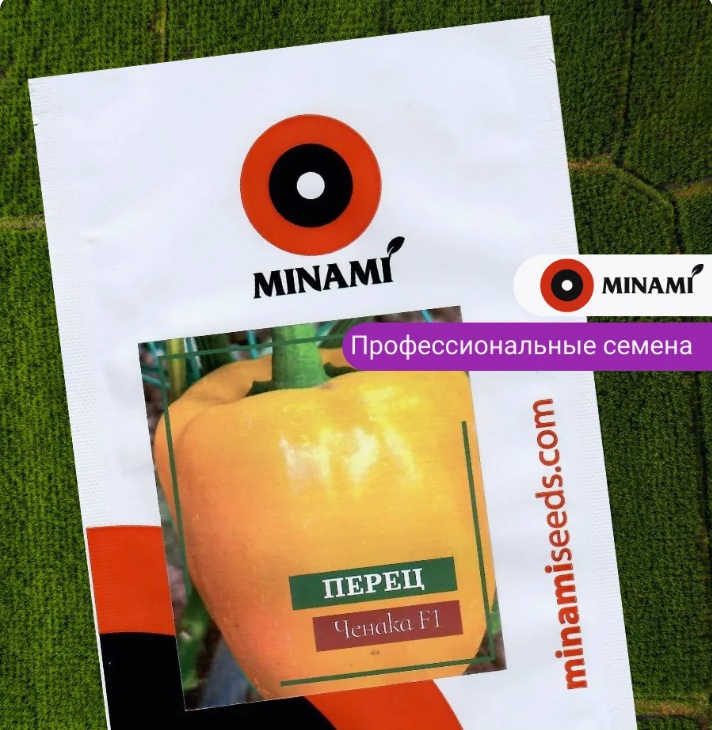 перец Ченака перец Ченака