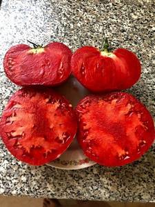 IMG_6603.thumb.jpg.47033d8ed2a85a5858f6be96ed7ff91a