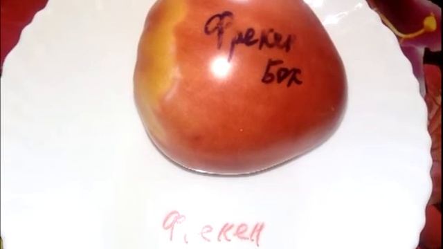 f8039418ff4338ea753700141b827343