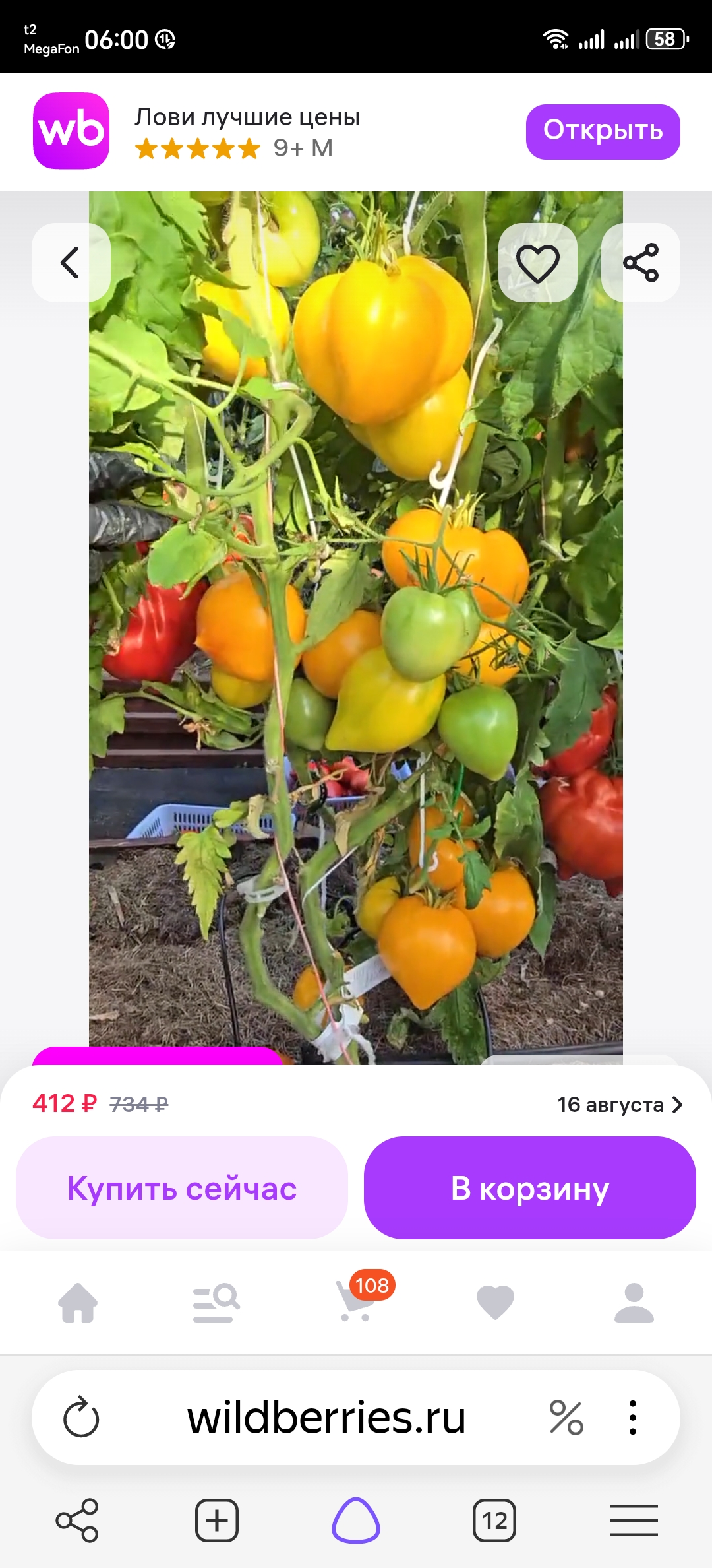 Screenshot_20260812_060058_com.yandex.browser