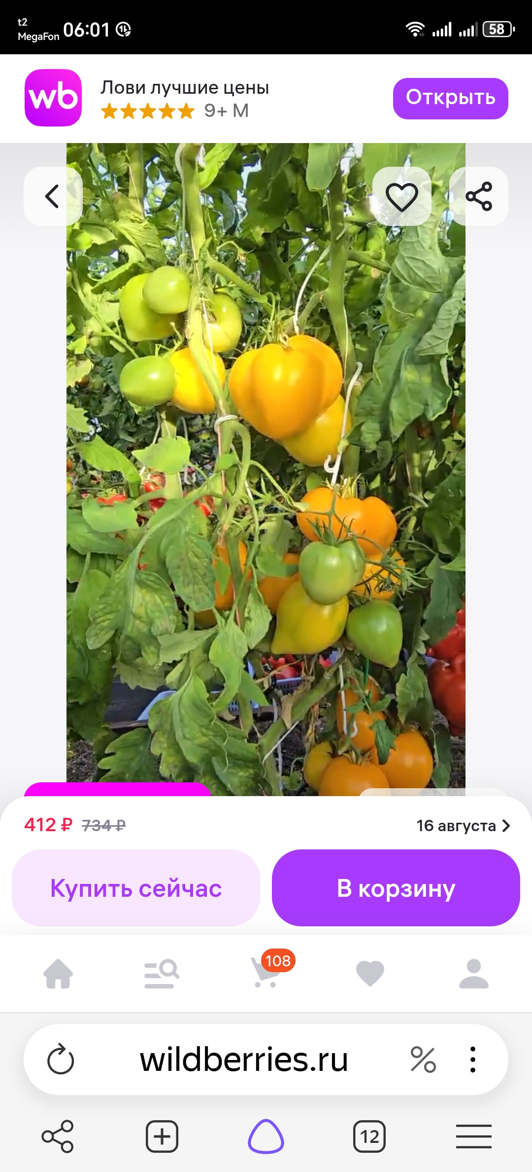 Screenshot_20260812_060128_com.yandex.browser